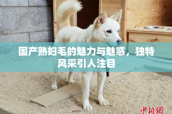 国产熟妇毛的魅力与魅惑，独特风采引人注目