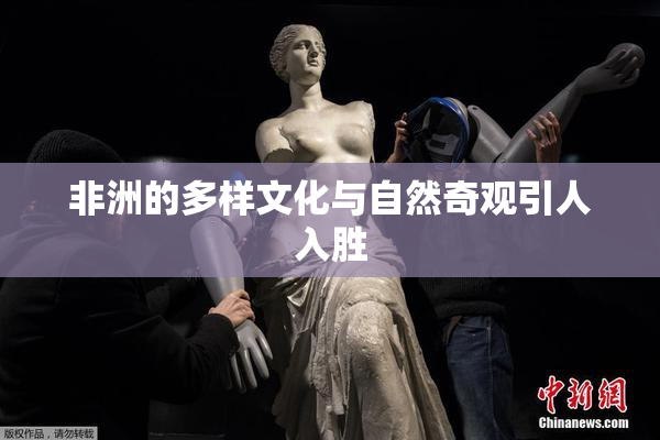 非洲的多样文化与自然奇观引人入胜