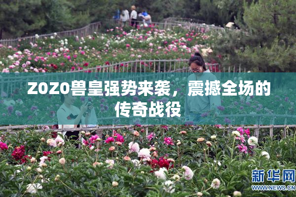 Z0Z0兽皇强势来袭，震撼全场的传奇战役