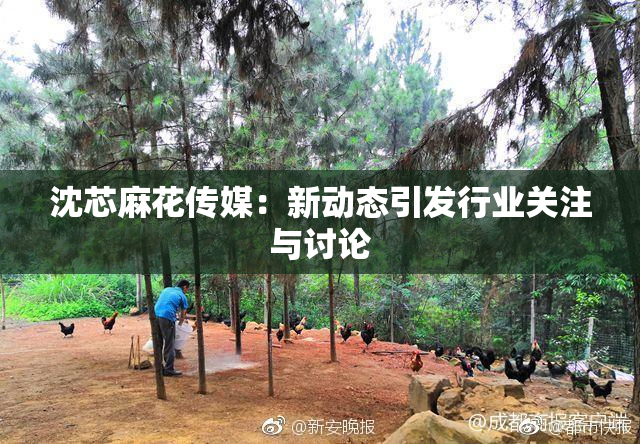 沈芯麻花传媒：新动态引发行业关注与讨论