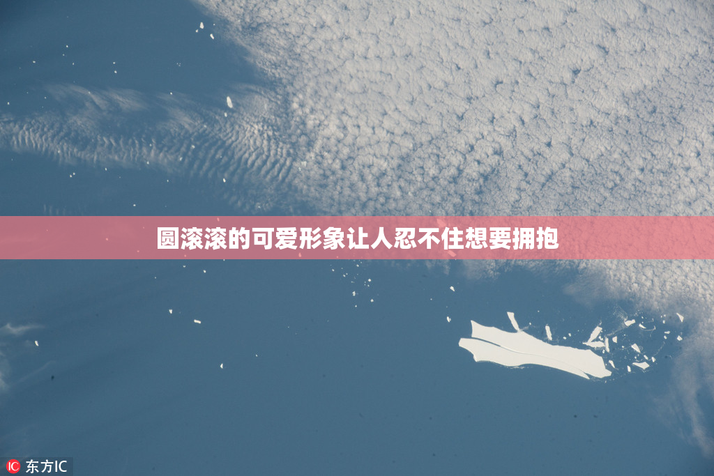 圆滚滚的可爱形象让人忍不住想要拥抱