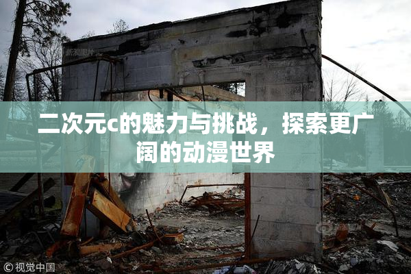二次元c的魅力与挑战，探索更广阔的动漫世界