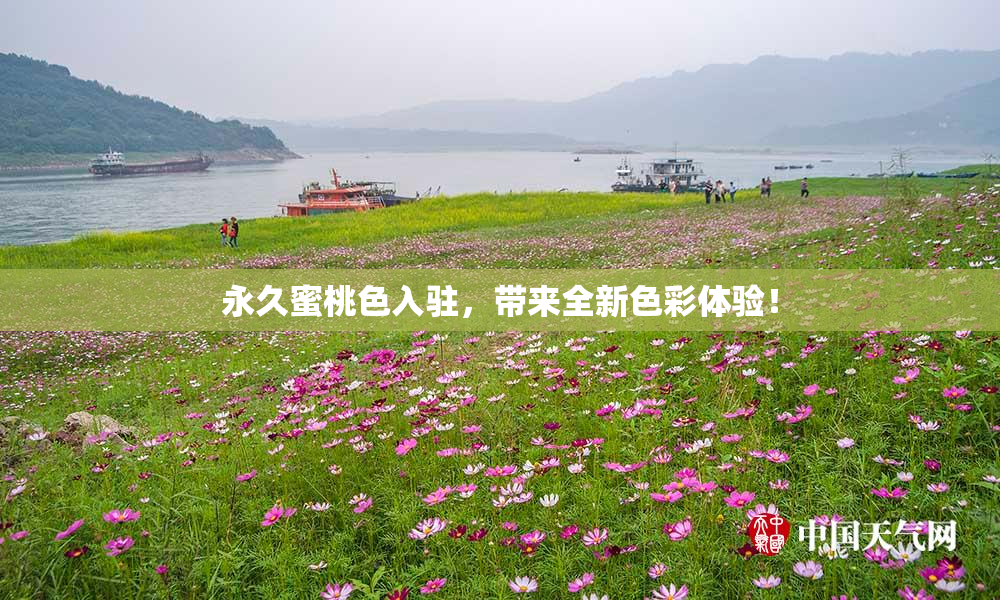 永久蜜桃色入驻，带来全新色彩体验！