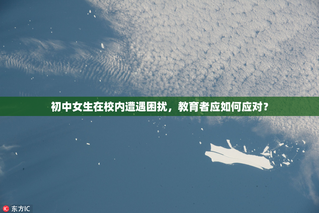 初中女生在校内遭遇困扰，教育者应如何应对？