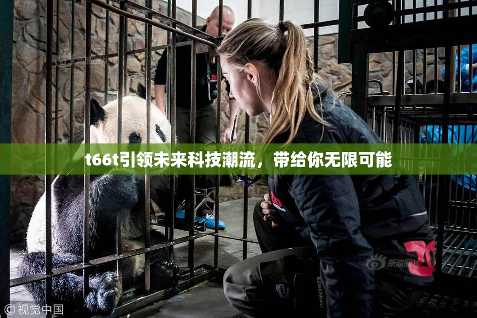 t66t引领未来科技潮流，带给你无限可能