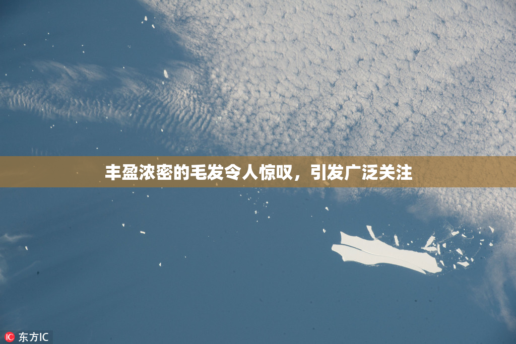 丰盈浓密的毛发令人惊叹，引发广泛关注