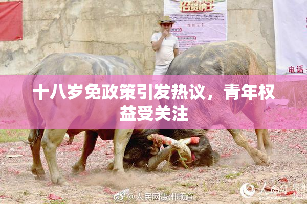 十八岁免政策引发热议，青年权益受关注