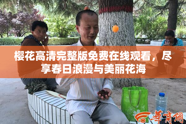 樱花高清完整版免费在线观看，尽享春日浪漫与美丽花海