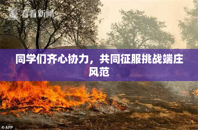 同学们齐心协力，共同征服挑战端庄风范