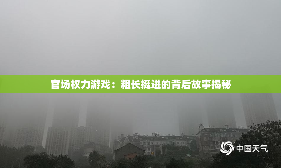 官场权力游戏：粗长挺进的背后故事揭秘