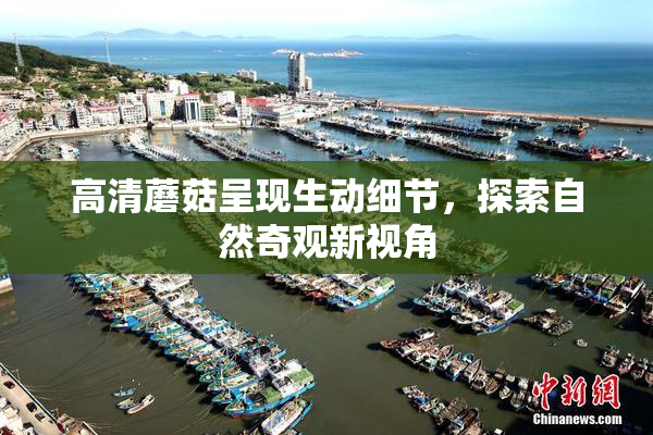 高清蘑菇呈现生动细节，探索自然奇观新视角