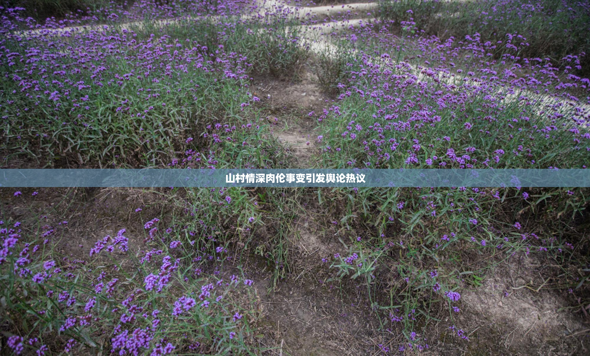 山村情深肉伦事变引发舆论热议