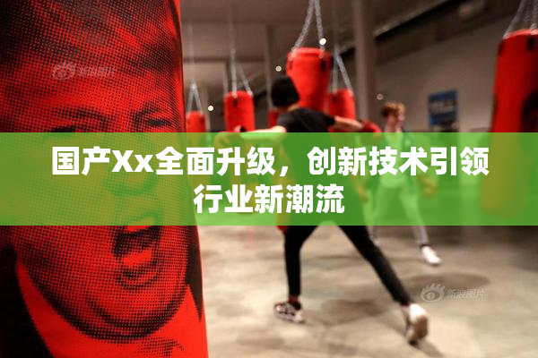 国产Xx全面升级，创新技术引领行业新潮流