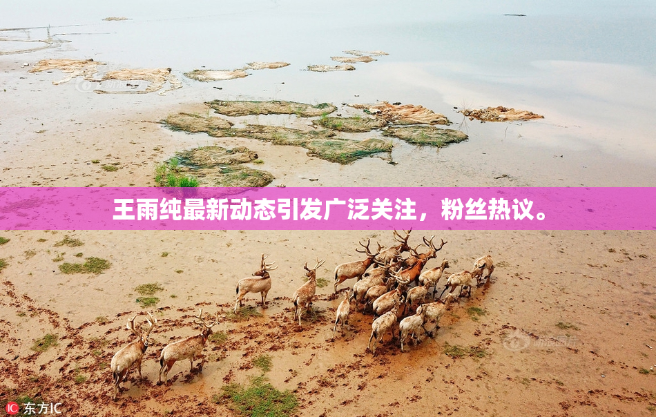王雨纯最新动态引发广泛关注，粉丝热议。