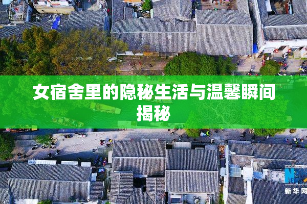 女宿舍里的隐秘生活与温馨瞬间揭秘