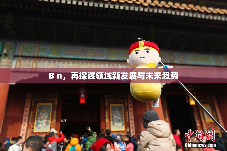 B n，再探该领域新发展与未来趋势