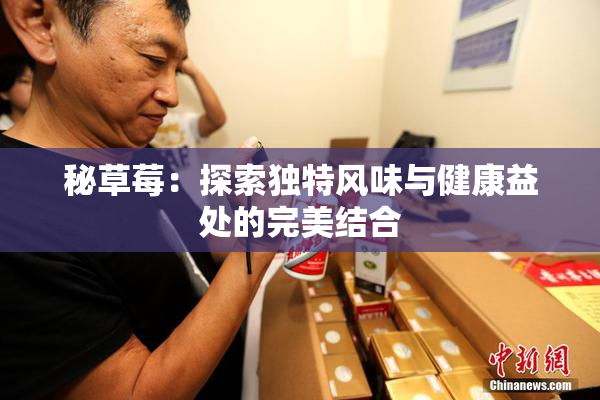 秘草莓：探索独特风味与健康益处的完美结合