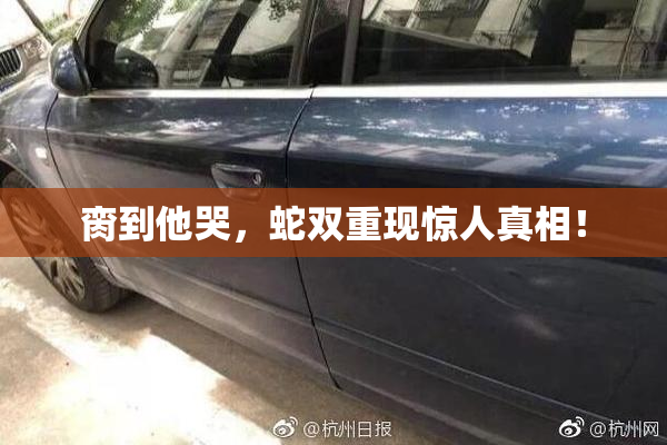 脔到他哭，蛇双重现惊人真相！