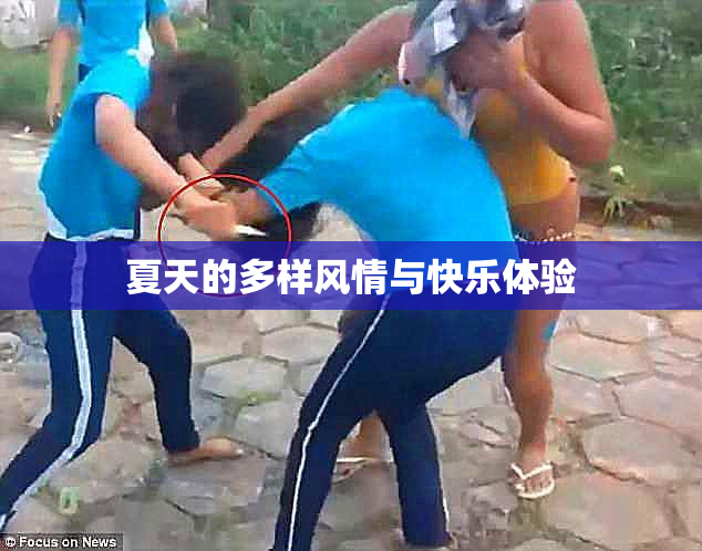 夏天的多样风情与快乐体验