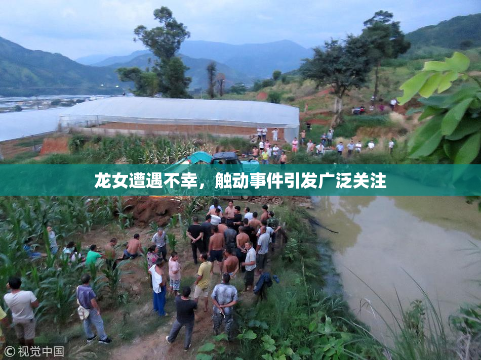 龙女遭遇不幸，触动事件引发广泛关注
