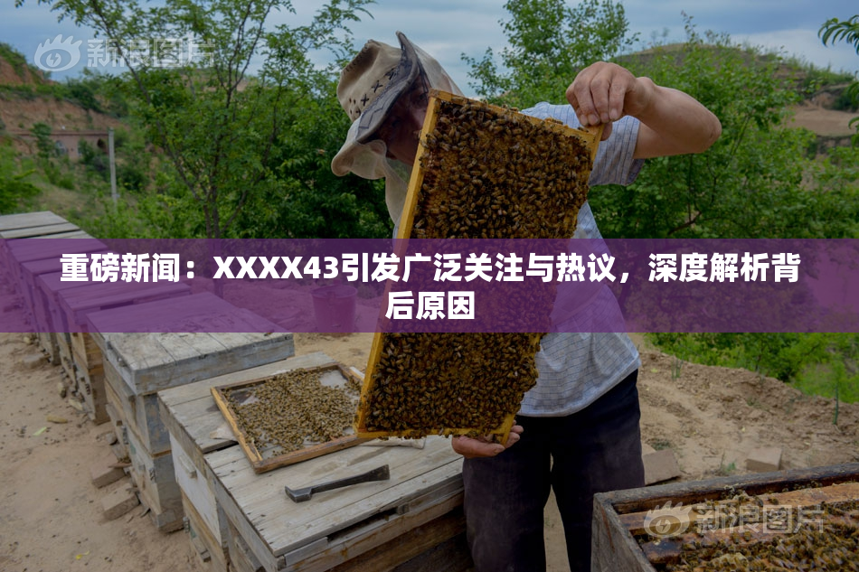 重磅新闻：XXXX43引发广泛关注与热议，深度解析背后原因