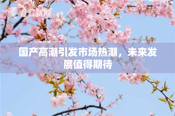 国产高潮引发市场热潮，未来发展值得期待