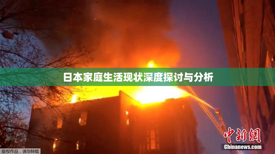 日本家庭生活现状深度探讨与分析