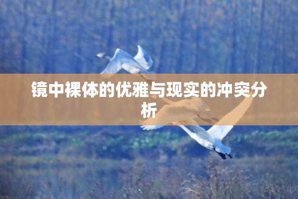 镜中裸体的优雅与现实的冲突分析