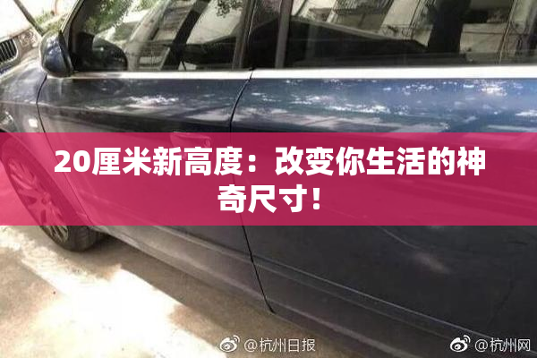 20厘米新高度：改变你生活的神奇尺寸！