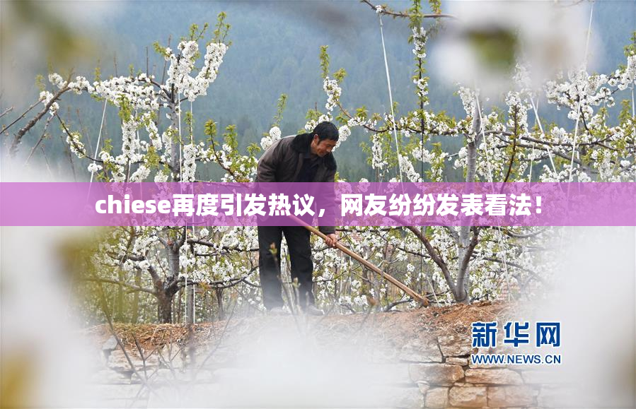chiese再度引发热议，网友纷纷发表看法！