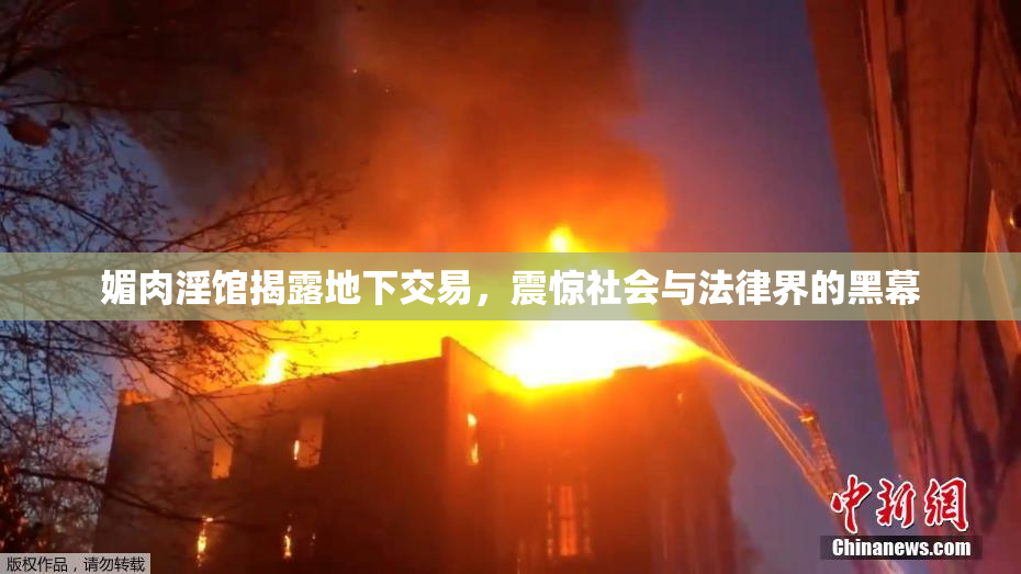 媚肉淫馆揭露地下交易，震惊社会与法律界的黑幕