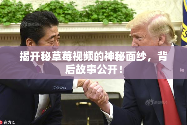 揭开秘草莓视频的神秘面纱，背后故事公开！