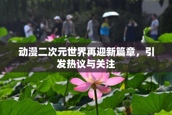 动漫二次元世界再迎新篇章，引发热议与关注