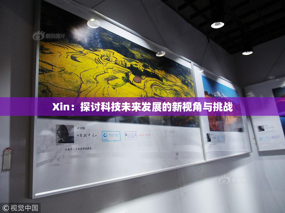 Xin：探讨科技未来发展的新视角与挑战