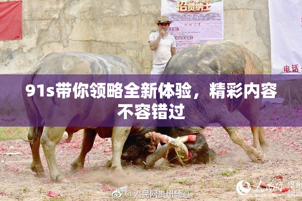 91s带你领略全新体验，精彩内容不容错过