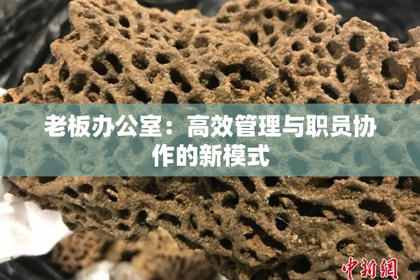 老板办公室：高效管理与职员协作的新模式