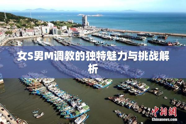 女S男M调教的独特魅力与挑战解析
