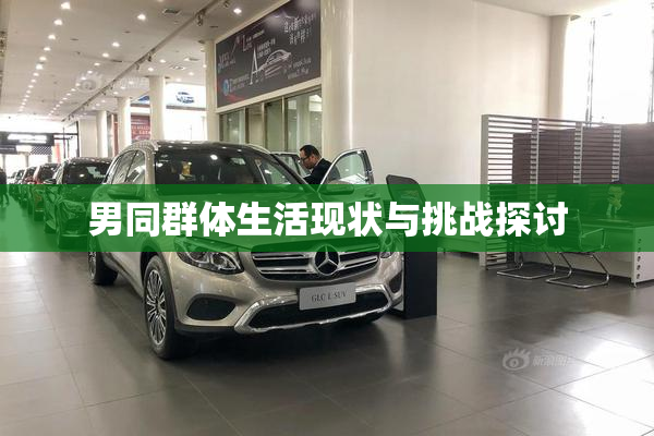 男同群体生活现状与挑战探讨