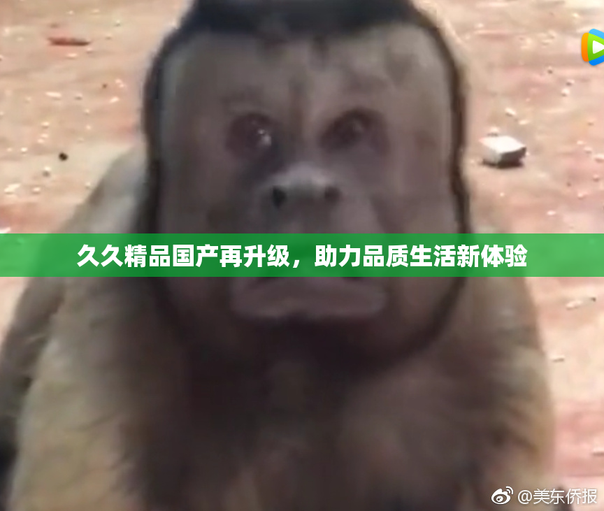久久精品国产再升级，助力品质生活新体验