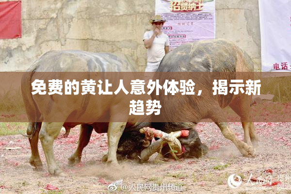 免费的黄让人意外体验，揭示新趋势