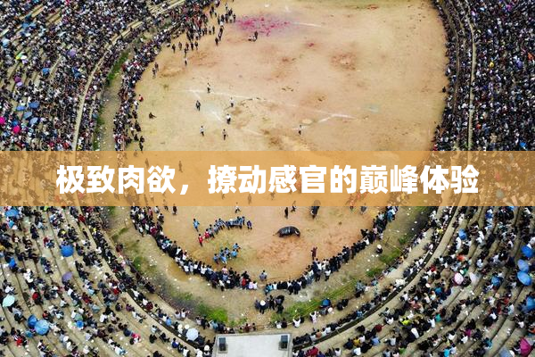 极致肉欲，撩动感官的巅峰体验