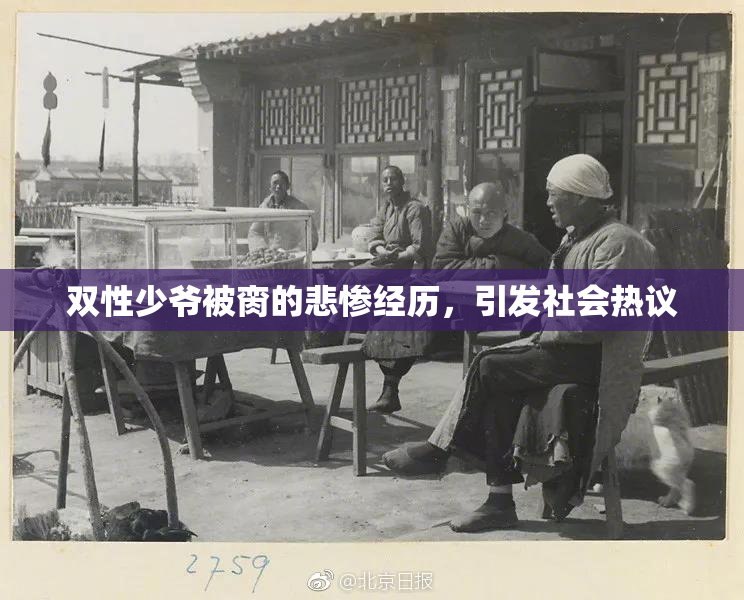 双性少爷被脔的悲惨经历，引发社会热议