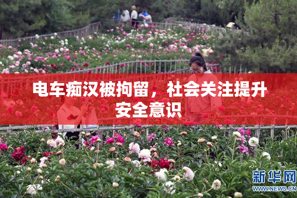 电车痴汉被拘留，社会关注提升安全意识