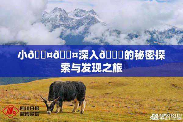 小🐤🐤深入🍑的秘密探索与发现之旅