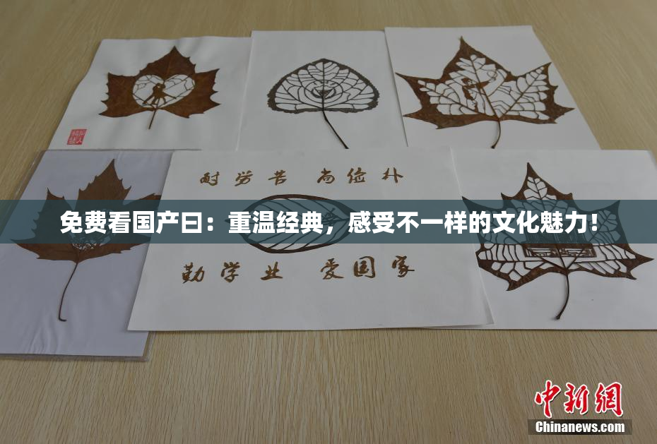 免费看国产曰：重温经典，感受不一样的文化魅力！
