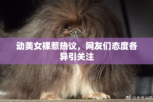 动美女裸惹热议，网友们态度各异引关注