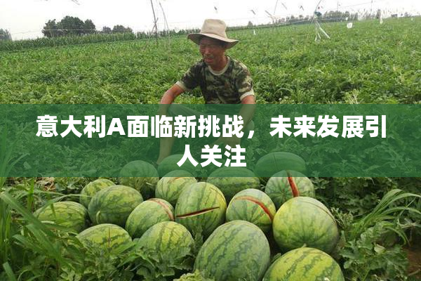 意大利A面临新挑战，未来发展引人关注