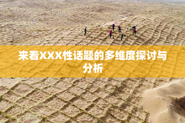 来看XXX性话题的多维度探讨与分析