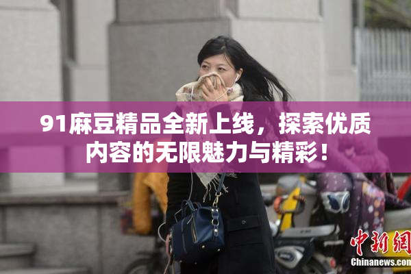 91麻豆精品全新上线，探索优质内容的无限魅力与精彩！