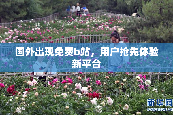 国外出现免费b站，用户抢先体验新平台